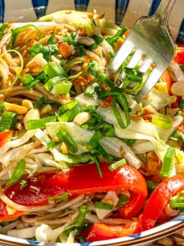 A colorful salad in a striped bowl, featuring mixed vegetables such as red bell peppers and shredded cabbage, garnished with crushed nuts and fresh herbs. A fork is seen lifting a portion, emphasizing the dish's vibrant, fresh ingredients.
