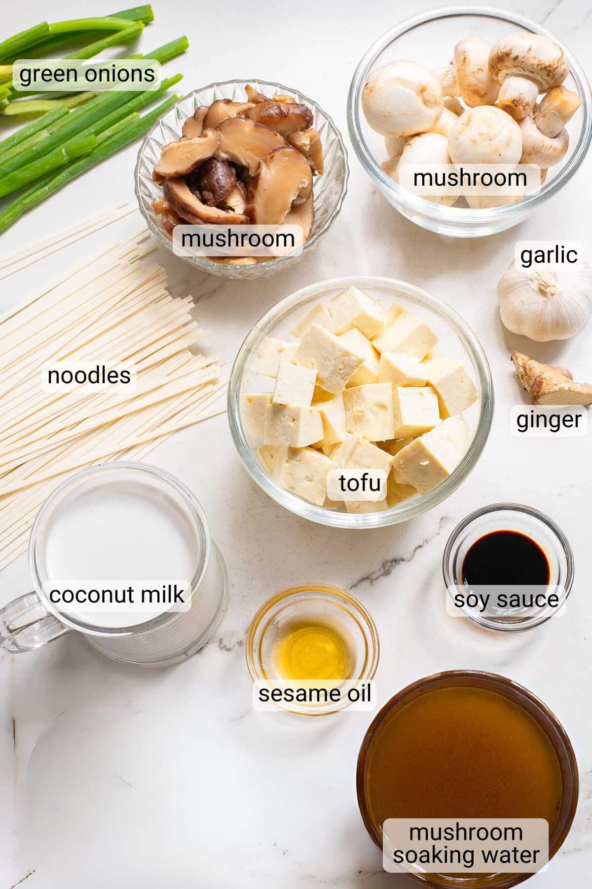 A top-down view of various ingredients laid out on a white surface, including green onions, mushrooms, noodles, tofu, garlic, ginger, coconut milk, soy sauce, sesame oil, and mushroom soaking water. Each ingredient is labeled with text above or near it.