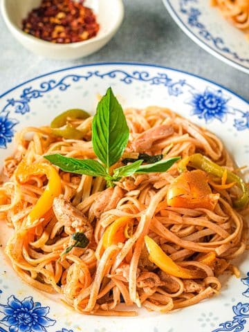 A plate of pasta with chicken, bell peppers, and a spicy tomato sauce, garnished with fresh basil leaves. The dish is served on a white plate with blue floral patterns. In the background, there is a small bowl of red pepper flakes.